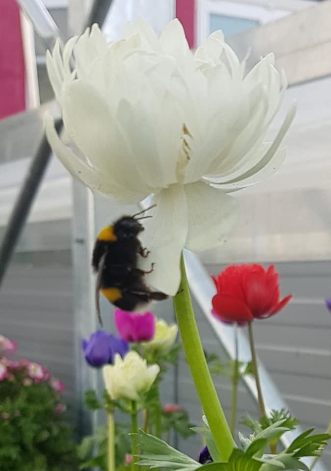 54434935 821491294887116 5144188794068533248 n