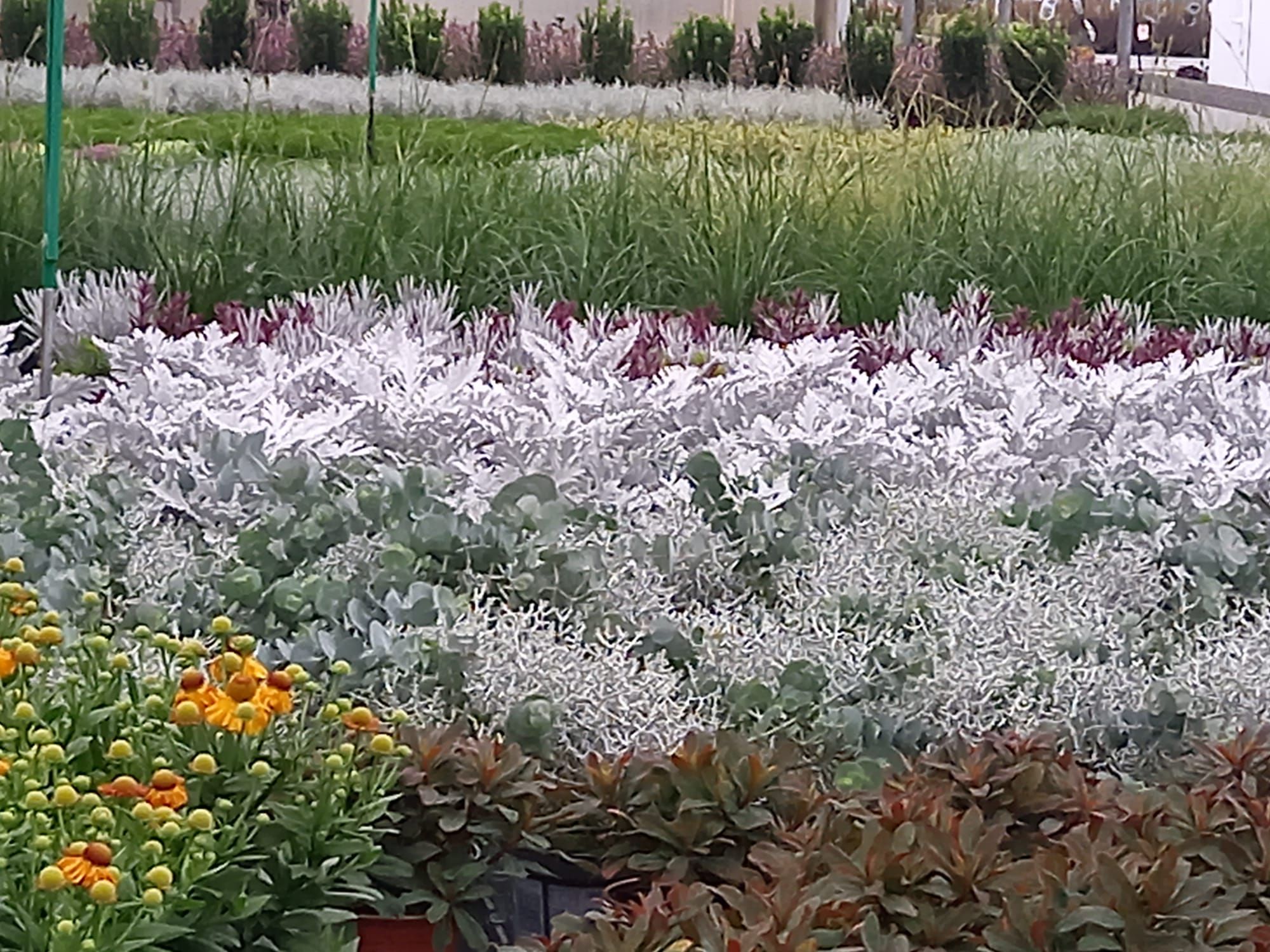 WhatsApp Image 2021-10-04 at 130920 2