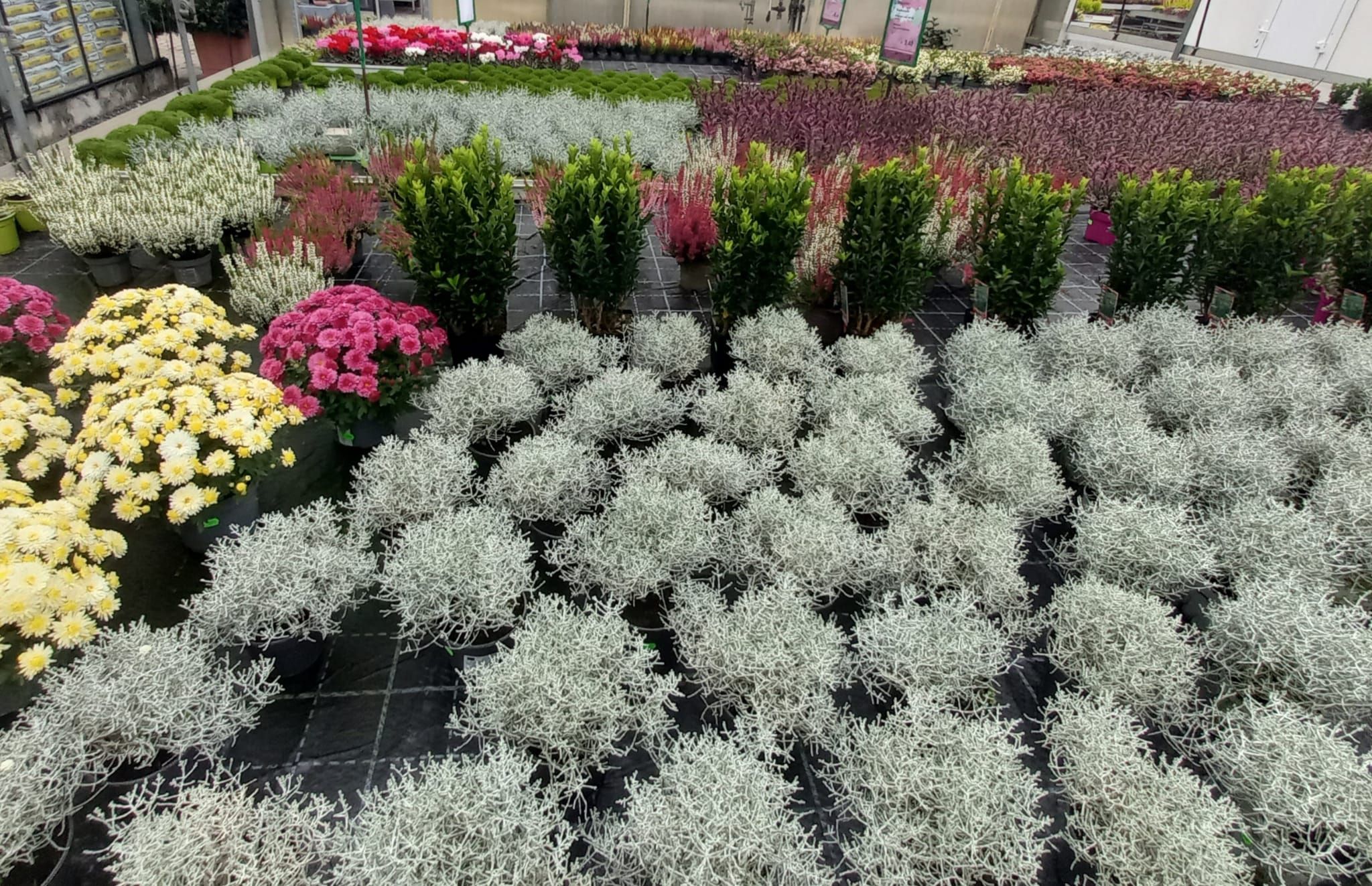 WhatsApp Image 2021-10-04 at 130920 5