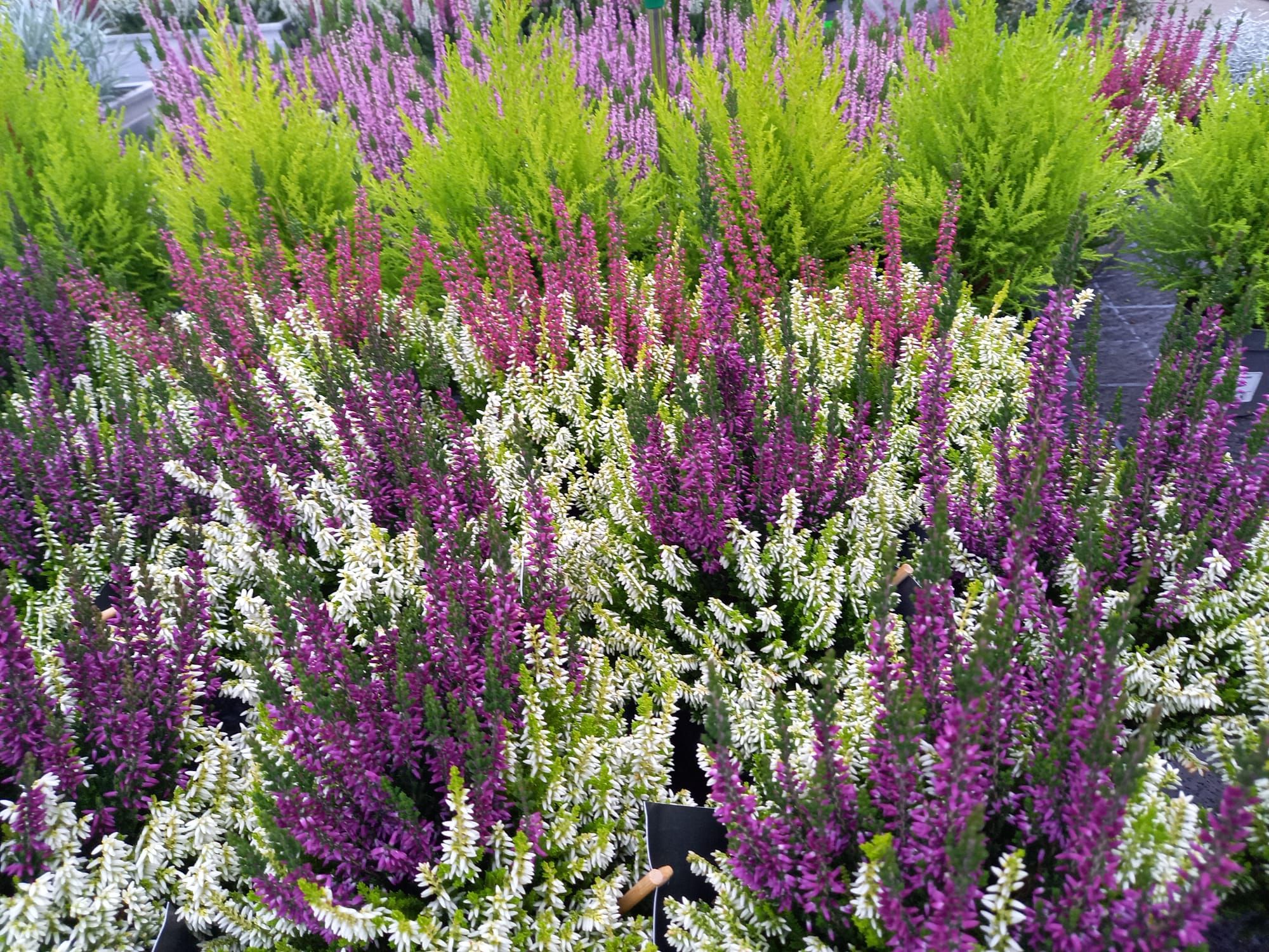 WhatsApp Image 2021-10-04 at 130920 9